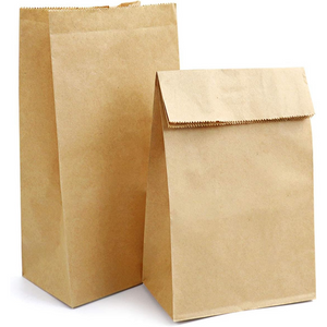 Craft Paper Bag (set of 5)