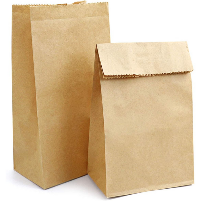 Craft Paper Bag (2 Sizes Available) (set of 5)