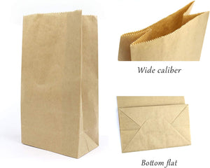 Craft Paper Bag (2 Sizes Available) (set of 5)
