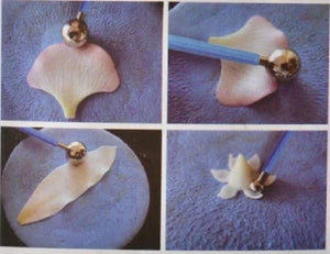 Fondant Ball Tool Set (4 Pieces)