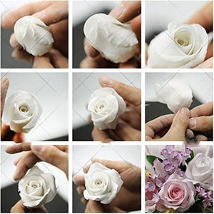 Rose Flower Silicone Veiner (2 Pieces)